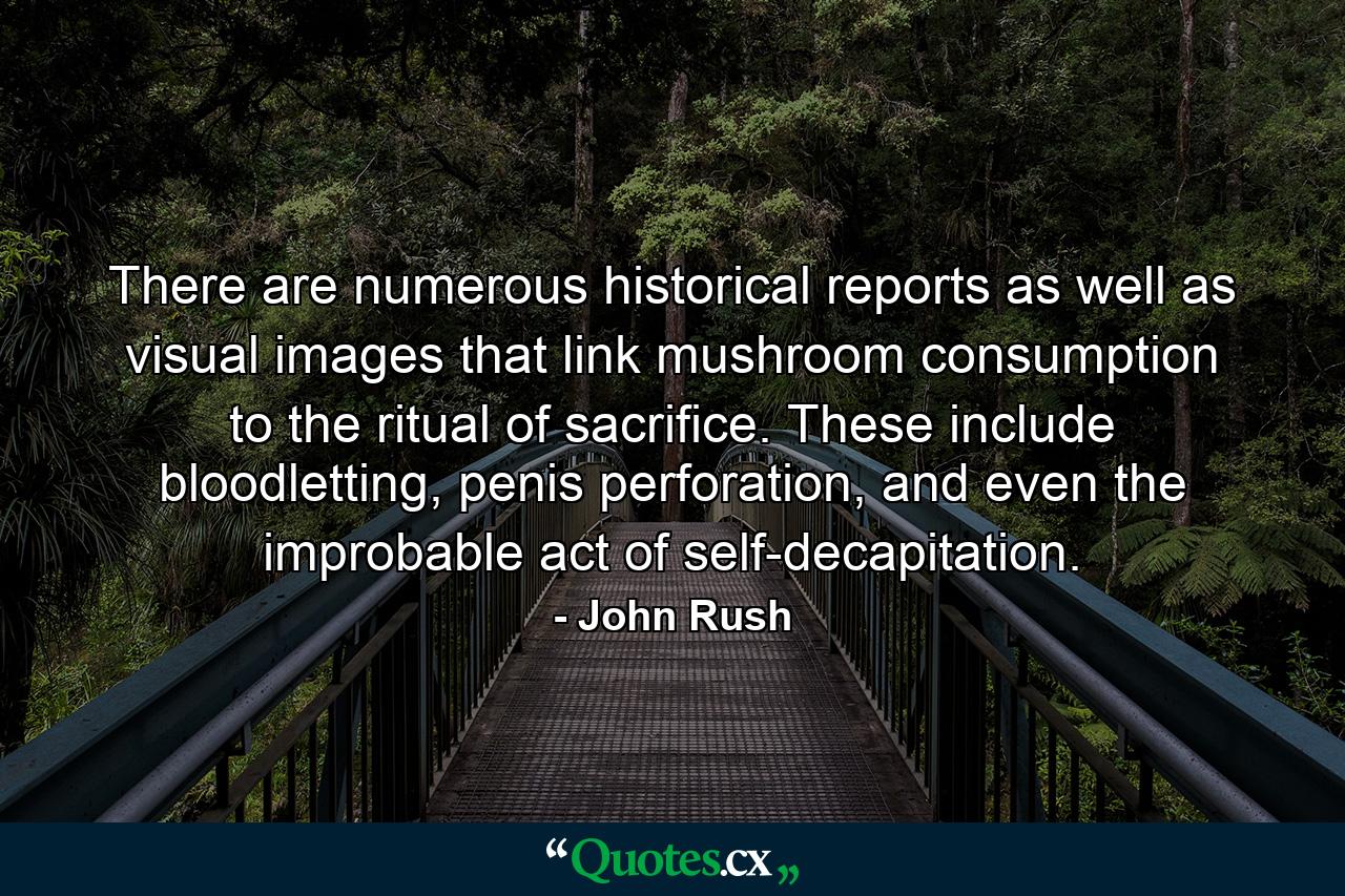 There are numerous historical reports as well as visual images that link mushroom consumption to the ritual of sacrifice. These include bloodletting, penis perforation, and even the improbable act of self-decapitation. - Quote by John Rush