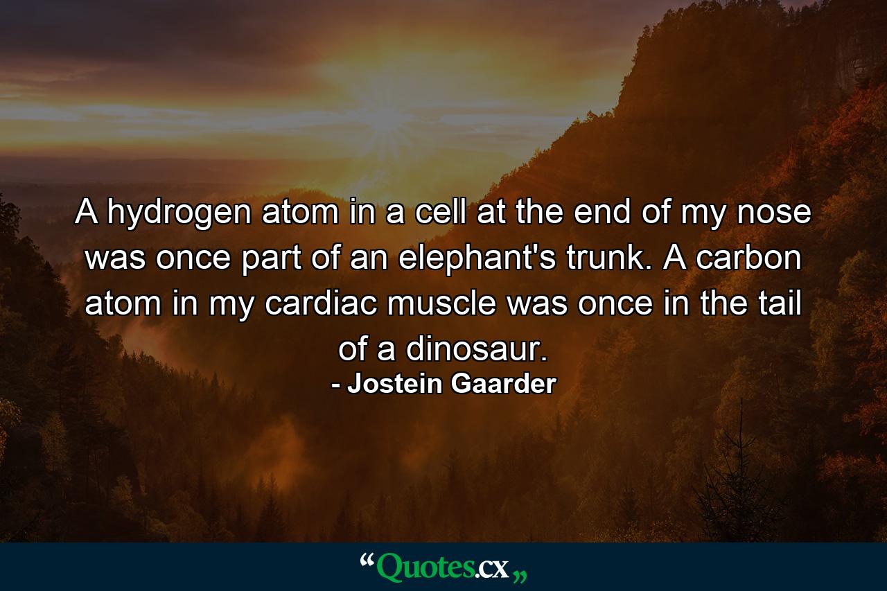 A hydrogen atom in a cell at the end of my nose was once part of an elephant's trunk. A carbon atom in my cardiac muscle was once in the tail of a dinosaur. - Quote by Jostein Gaarder