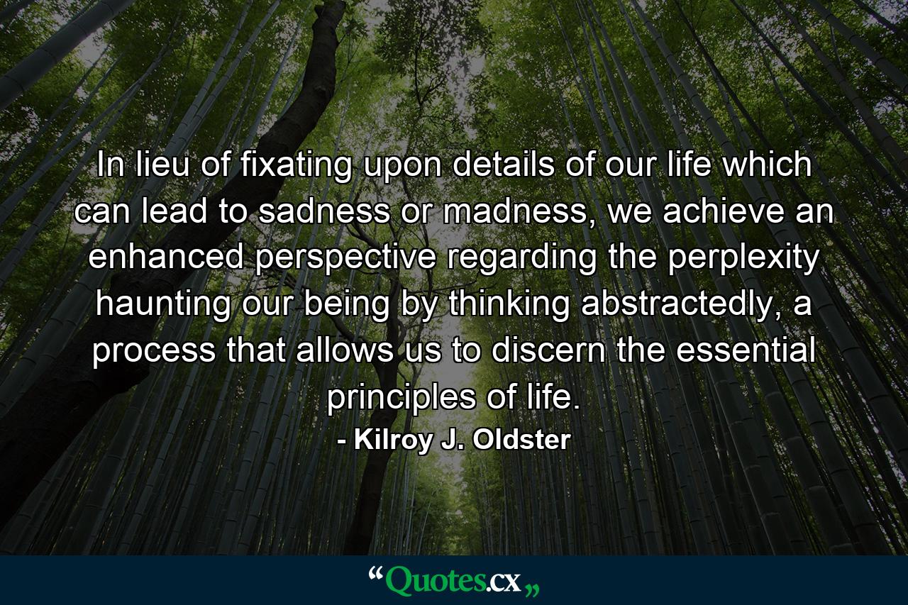 In lieu of fixating upon details of our life which can lead to sadness or madness, we achieve an enhanced perspective regarding the perplexity haunting our being by thinking abstractedly, a process that allows us to discern the essential principles of life. - Quote by Kilroy J. Oldster