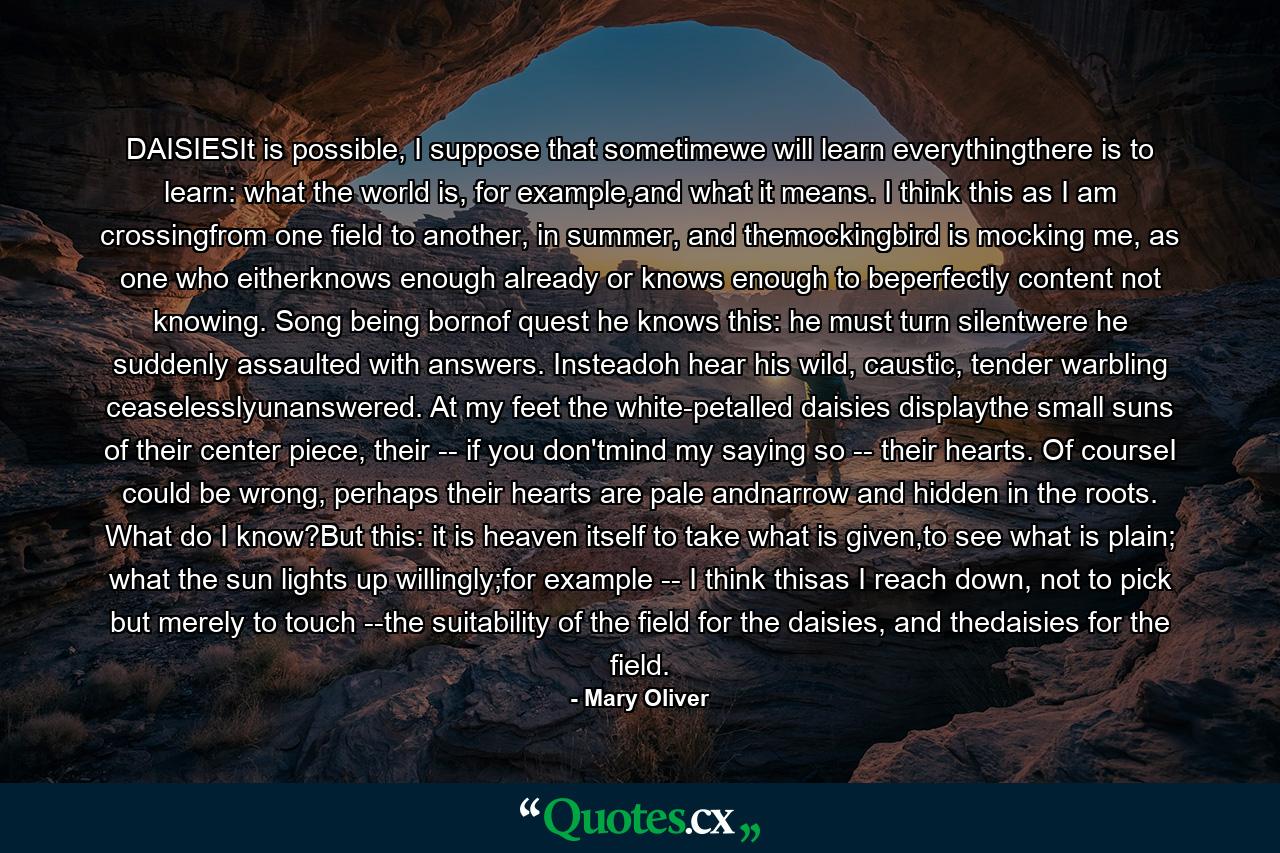 DAISIESIt is possible, I suppose that sometimewe will learn everythingthere is to learn: what the world is, for example,and what it means. I think this as I am crossingfrom one field to another, in summer, and themockingbird is mocking me, as one who eitherknows enough already or knows enough to beperfectly content not knowing. Song being bornof quest he knows this: he must turn silentwere he suddenly assaulted with answers. Insteadoh hear his wild, caustic, tender warbling ceaselesslyunanswered. At my feet the white-petalled daisies displaythe small suns of their center piece, their -- if you don'tmind my saying so -- their hearts. Of courseI could be wrong, perhaps their hearts are pale andnarrow and hidden in the roots. What do I know?But this: it is heaven itself to take what is given,to see what is plain; what the sun lights up willingly;for example -- I think thisas I reach down, not to pick but merely to touch --the suitability of the field for the daisies, and thedaisies for the field. - Quote by Mary Oliver