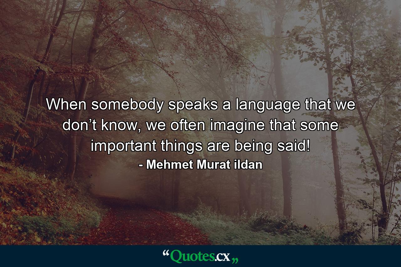 When somebody speaks a language that we don’t know, we often imagine that some important things are being said! - Quote by Mehmet Murat ildan