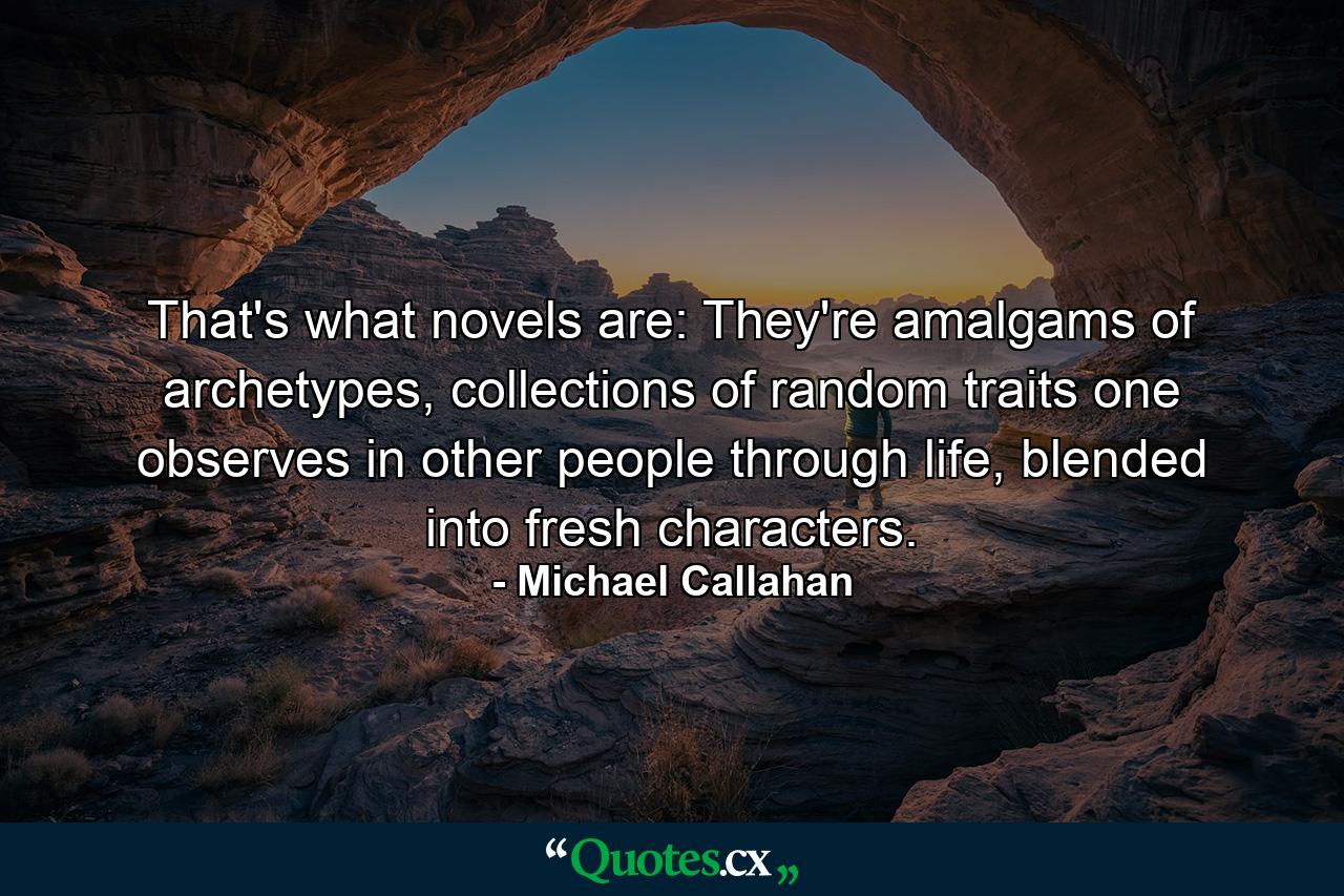 That's what novels are: They're amalgams of archetypes, collections of random traits one observes in other people through life, blended into fresh characters. - Quote by Michael Callahan