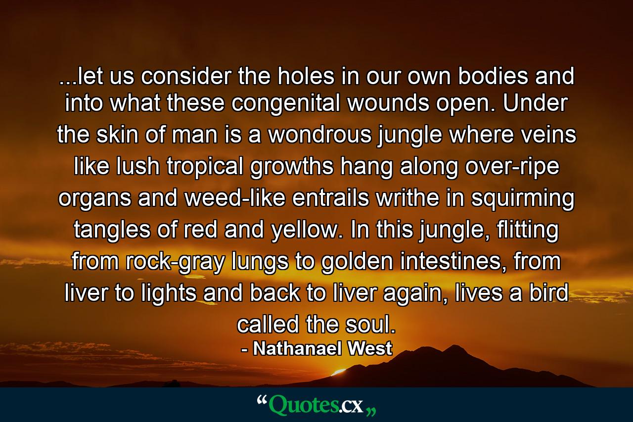 ...let us consider the holes in our own bodies and into what these congenital wounds open. Under the skin of man is a wondrous jungle where veins like lush tropical growths hang along over-ripe organs and weed-like entrails writhe in squirming tangles of red and yellow. In this jungle, flitting from rock-gray lungs to golden intestines, from liver to lights and back to liver again, lives a bird called the soul. - Quote by Nathanael West