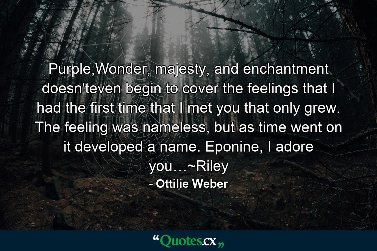 Purple,Wonder, majesty, and enchantment doesn'teven begin to cover the feelings that I had the first time that I met you that only grew. The feeling was nameless, but as time went on it developed a name. Eponine, I adore you…~Riley - Quote by Ottilie Weber