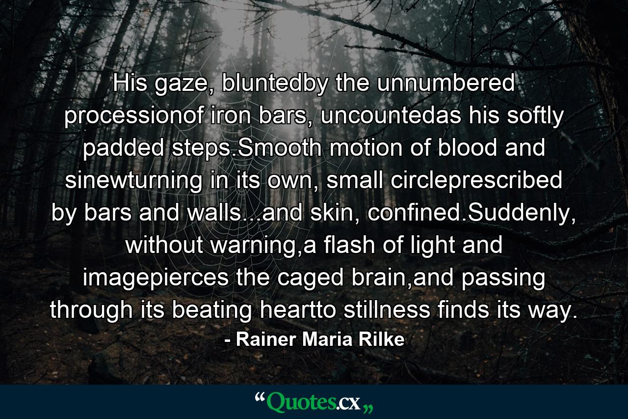 His gaze, bluntedby the unnumbered processionof iron bars, uncountedas his softly padded steps.Smooth motion of blood and sinewturning in its own, small circleprescribed by bars and walls...and skin, confined.Suddenly, without warning,a flash of light and imagepierces the caged brain,and passing through its beating heartto stillness finds its way. - Quote by Rainer Maria Rilke