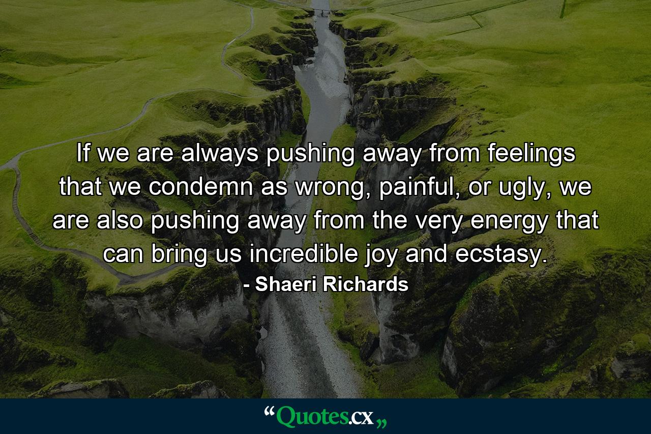 If we are always pushing away from feelings that we condemn as wrong, painful, or ugly, we are also pushing away from the very energy that can bring us incredible joy and ecstasy. - Quote by Shaeri Richards