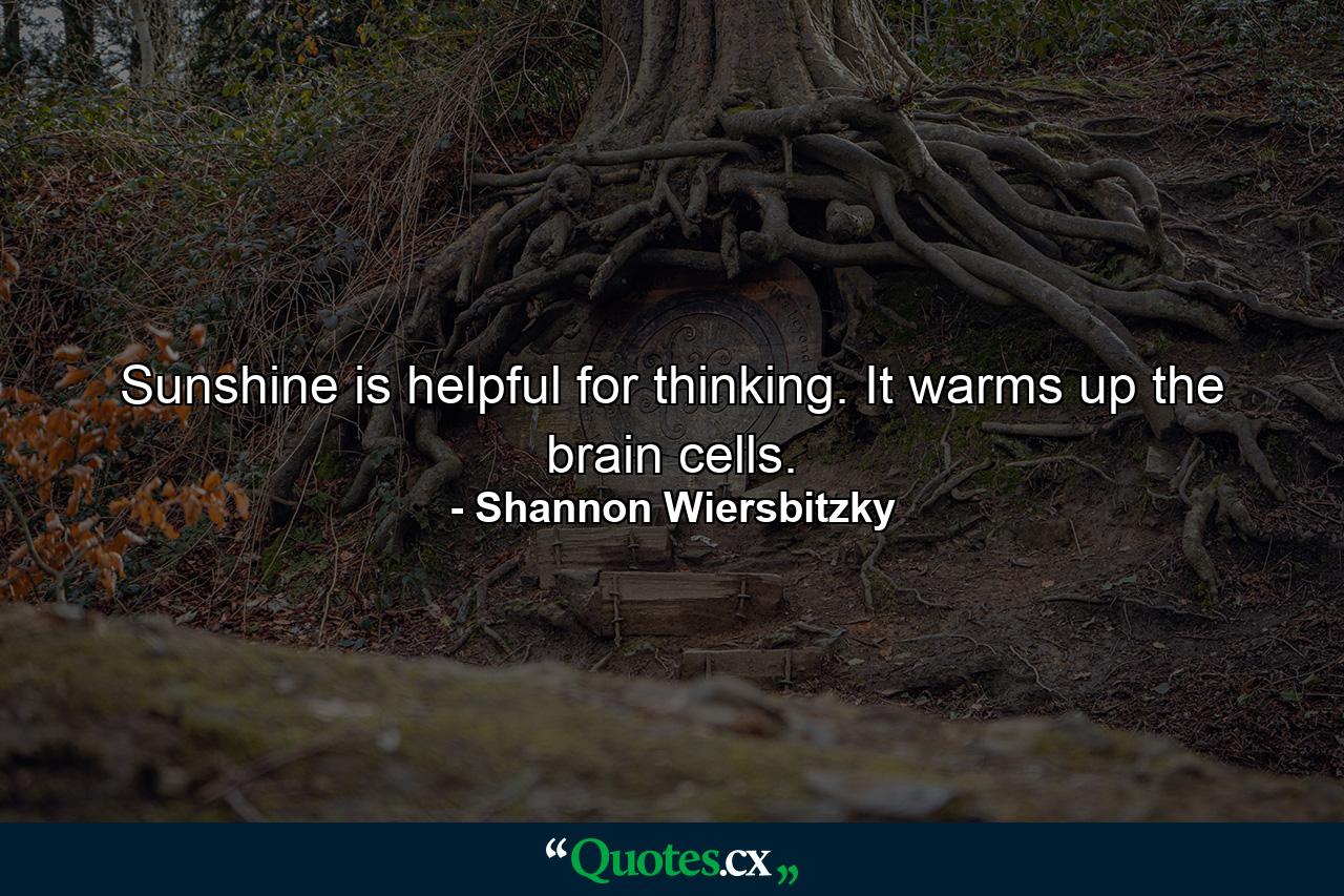 Sunshine is helpful for thinking. It warms up the brain cells. - Quote by Shannon Wiersbitzky