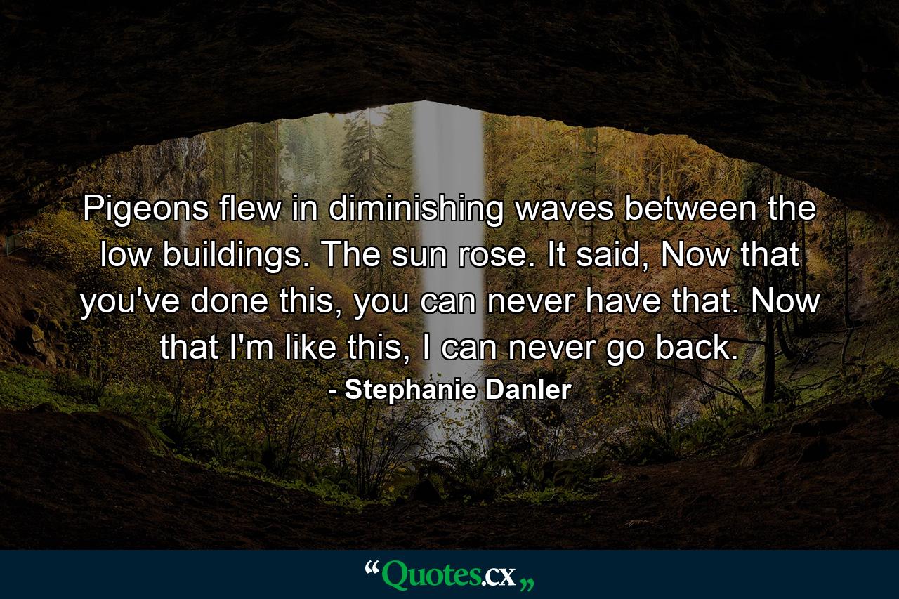 Pigeons flew in diminishing waves between the low buildings. The sun rose. It said, Now that you've done this, you can never have that. Now that I'm like this, I can never go back. - Quote by Stephanie Danler