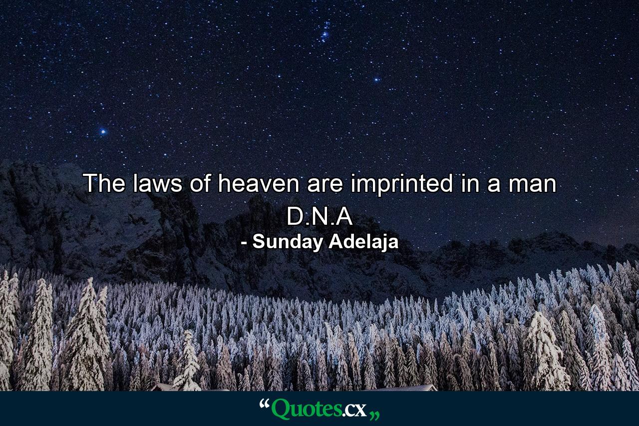 The laws of heaven are imprinted in a man D.N.A - Quote by Sunday Adelaja