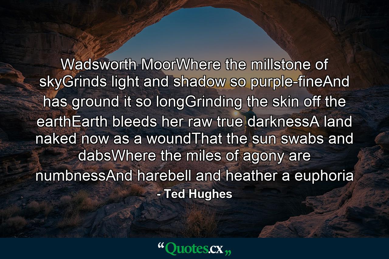 Wadsworth MoorWhere the millstone of skyGrinds light and shadow so purple-fineAnd has ground it so longGrinding the skin off the earthEarth bleeds her raw true darknessA land naked now as a woundThat the sun swabs and dabsWhere the miles of agony are numbnessAnd harebell and heather a euphoria - Quote by Ted Hughes