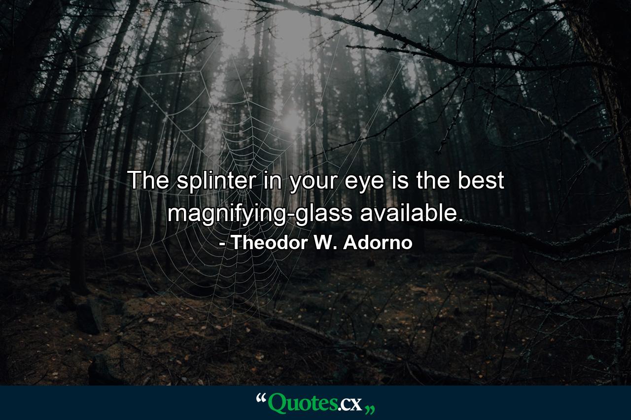 The splinter in your eye is the best magnifying-glass available. - Quote by Theodor W. Adorno