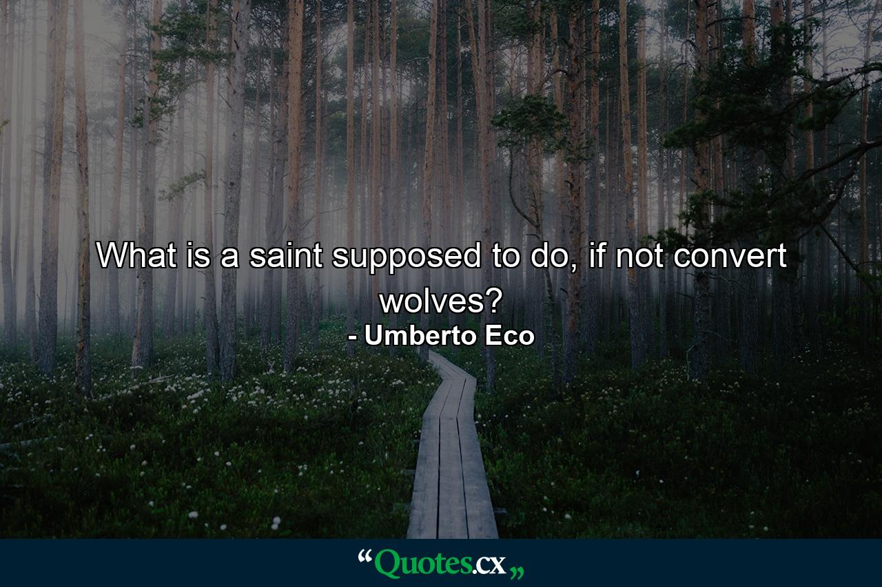 What is a saint supposed to do, if not convert wolves? - Quote by Umberto Eco