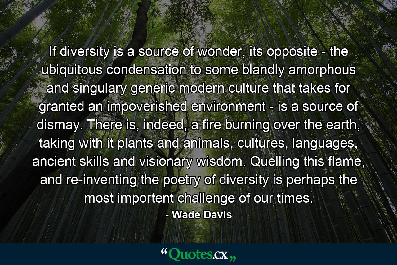 If diversity is a source of wonder, its opposite - the ubiquitous condensation to some blandly amorphous and singulary generic modern culture that takes for granted an impoverished environment - is a source of dismay. There is, indeed, a fire burning over the earth, taking with it plants and animals, cultures, languages, ancient skills and visionary wisdom. Quelling this flame, and re-inventing the poetry of diversity is perhaps the most importent challenge of our times. - Quote by Wade Davis