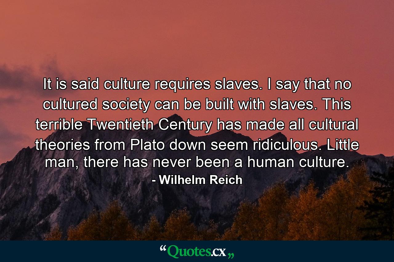 It is said culture requires slaves. I say that no cultured society can be built with slaves. This terrible Twentieth Century has made all cultural theories from Plato down seem ridiculous. Little man, there has never been a human culture. - Quote by Wilhelm Reich