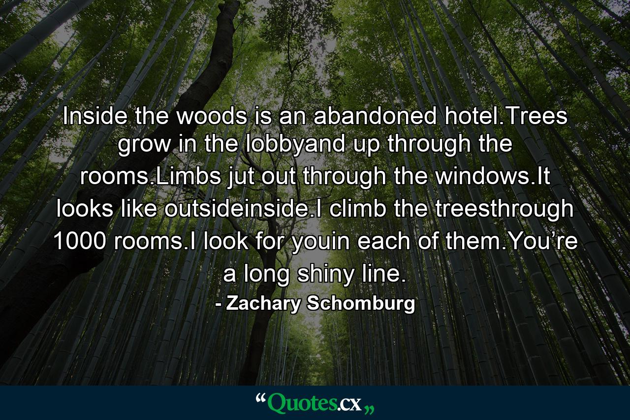 Inside the woods is an abandoned hotel.Trees grow in the lobbyand up through the rooms.Limbs jut out through the windows.It looks like outsideinside.I climb the treesthrough 1000 rooms.I look for youin each of them.You’re a long shiny line. - Quote by Zachary Schomburg