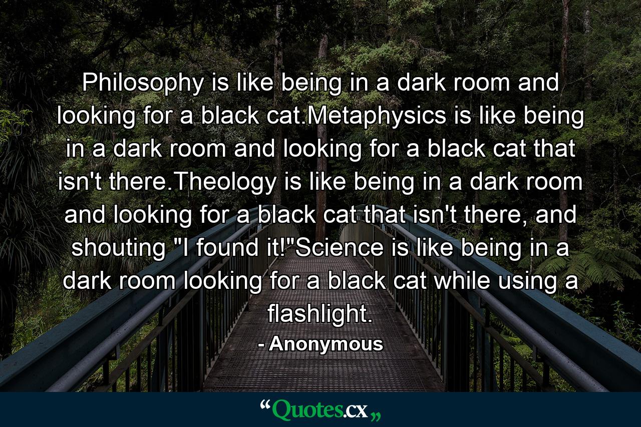 Philosophy is like being in a dark room and looking for a black cat.Metaphysics is like being in a dark room and looking for a black cat that isn't there.Theology is like being in a dark room and looking for a black cat that isn't there, and shouting 