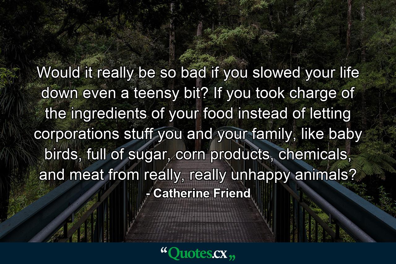 Would it really be so bad if you slowed your life down even a teensy bit? If you took charge of the ingredients of your food instead of letting corporations stuff you and your family, like baby birds, full of sugar, corn products, chemicals, and meat from really, really unhappy animals? - Quote by Catherine Friend