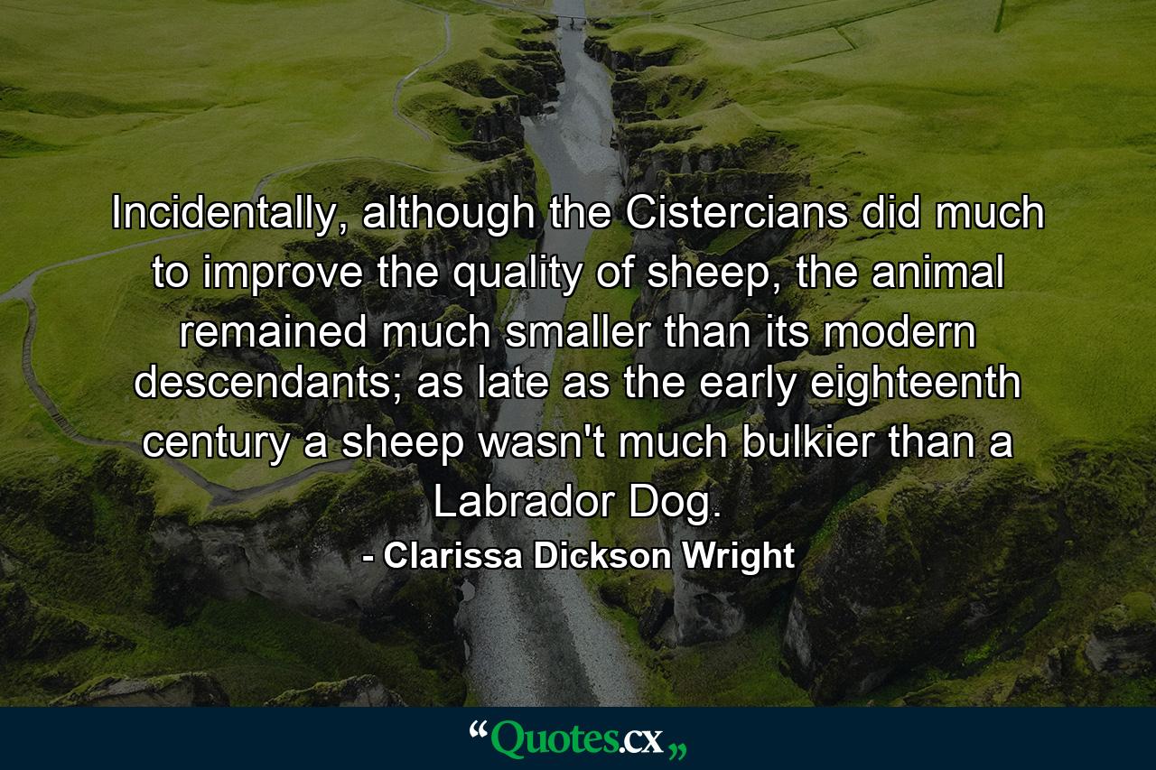 Incidentally, although the Cistercians did much to improve the quality of sheep, the animal remained much smaller than its modern descendants; as late as the early eighteenth century a sheep wasn't much bulkier than a Labrador Dog. - Quote by Clarissa Dickson Wright