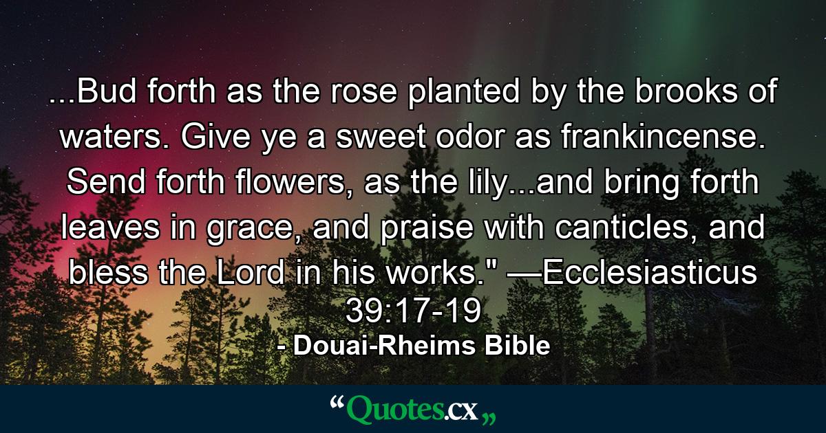 ...Bud forth as the rose planted by the brooks of waters. Give ye a sweet odor as frankincense. Send forth flowers, as the lily...and bring forth leaves in grace, and praise with canticles, and bless the Lord in his works.