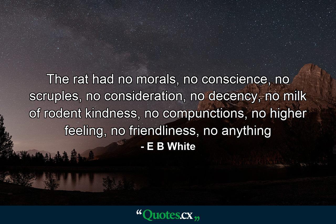 The rat had no morals, no conscience, no scruples, no consideration, no decency, no milk of rodent kindness, no compunctions, no higher feeling, no friendliness, no anything - Quote by E B White