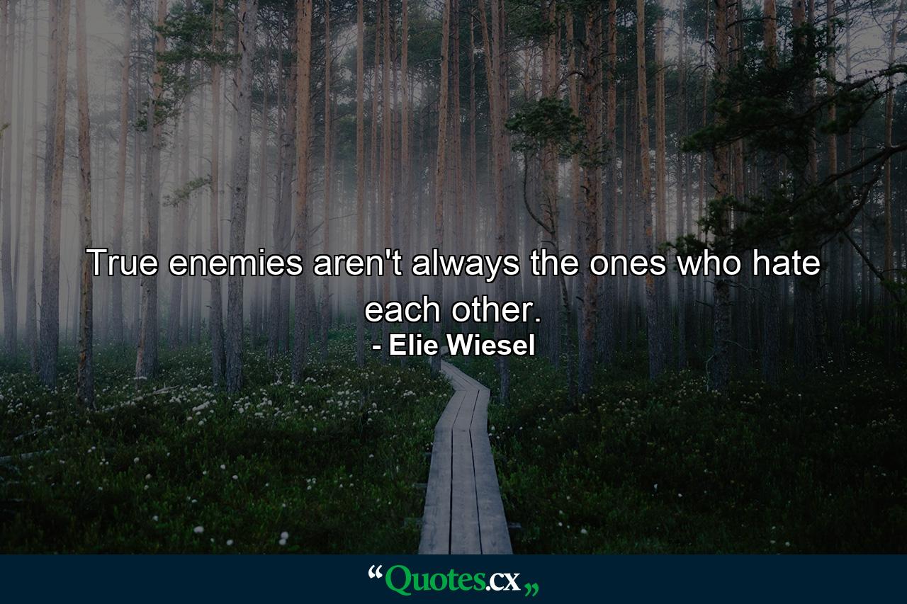 True enemies aren't always the ones who hate each other. - Quote by Elie Wiesel