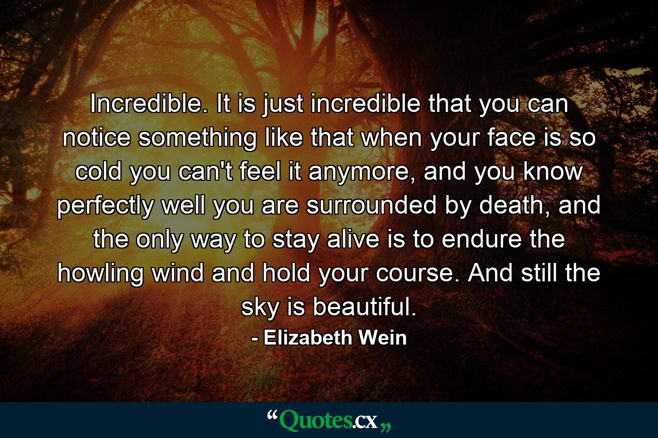 Incredible. It is just incredible that you can notice something like that when your face is so cold you can't feel it anymore, and you know perfectly well you are surrounded by death, and the only way to stay alive is to endure the howling wind and hold your course. And still the sky is beautiful. - Quote by Elizabeth Wein