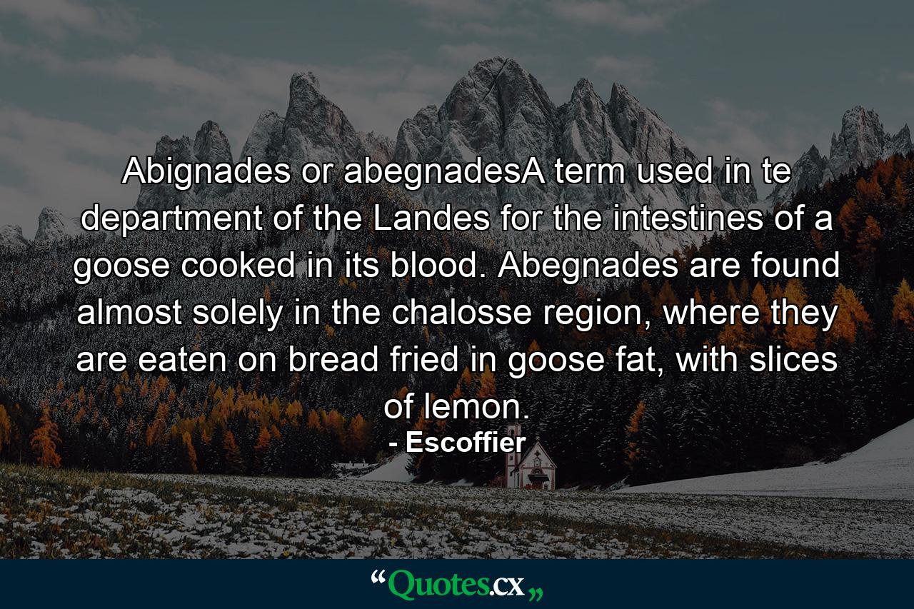 Abignades or abegnadesA term used in te department of the Landes for the intestines of a goose cooked in its blood. Abegnades are found almost solely in the chalosse region, where they are eaten on bread fried in goose fat, with slices of lemon. - Quote by Escoffier