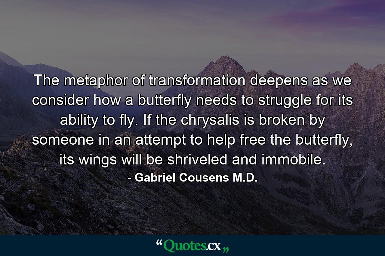 The metaphor of transformation deepens as we consider how a butterfly needs to struggle for its ability to fly. If the chrysalis is broken by someone in an attempt to help free the butterfly, its wings will be shriveled and immobile. - Quote by Gabriel Cousens M.D.