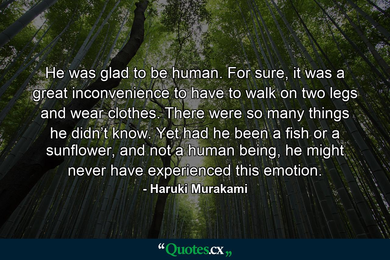 He was glad to be human. For sure, it was a great inconvenience to have to walk on two legs and wear clothes. There were so many things he didn’t know. Yet had he been a fish or a sunflower, and not a human being, he might never have experienced this emotion. - Quote by Haruki Murakami