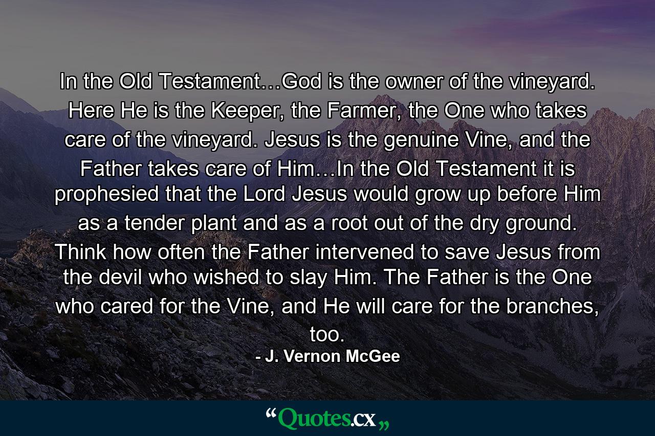 In the Old Testament…God is the owner of the vineyard. Here He is the Keeper, the Farmer, the One who takes care of the vineyard. Jesus is the genuine Vine, and the Father takes care of Him…In the Old Testament it is prophesied that the Lord Jesus would grow up before Him as a tender plant and as a root out of the dry ground. Think how often the Father intervened to save Jesus from the devil who wished to slay Him. The Father is the One who cared for the Vine, and He will care for the branches, too. - Quote by J. Vernon McGee