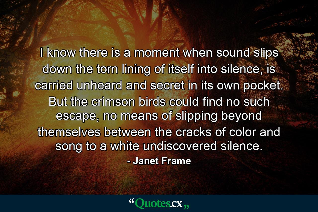 I know there is a moment when sound slips down the torn lining of itself into silence, is carried unheard and secret in its own pocket. But the crimson birds could find no such escape, no means of slipping beyond themselves between the cracks of color and song to a white undiscovered silence. - Quote by Janet Frame