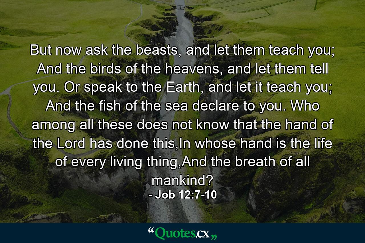 But now ask the beasts, and let them teach you; And the birds of the heavens, and let them tell you. Or speak to the Earth, and let it teach you; And the fish of the sea declare to you. Who among all these does not know that the hand of the Lord has done this,In whose hand is the life of every living thing,And the breath of all mankind? - Quote by Job 12:7-10