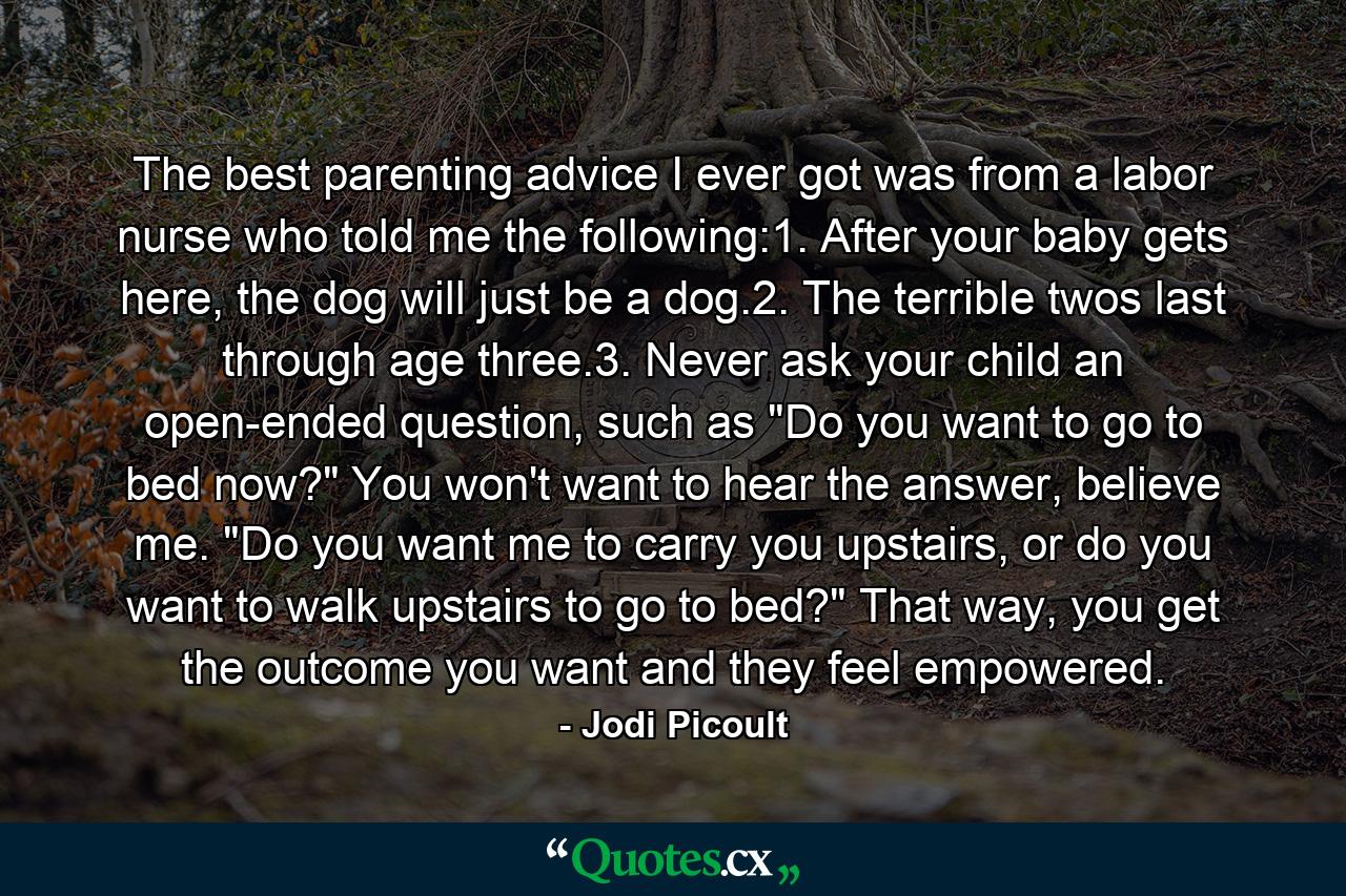 The best parenting advice I ever got was from a labor nurse who told me the following:1. After your baby gets here, the dog will just be a dog.2. The terrible twos last through age three.3. Never ask your child an open-ended question, such as 