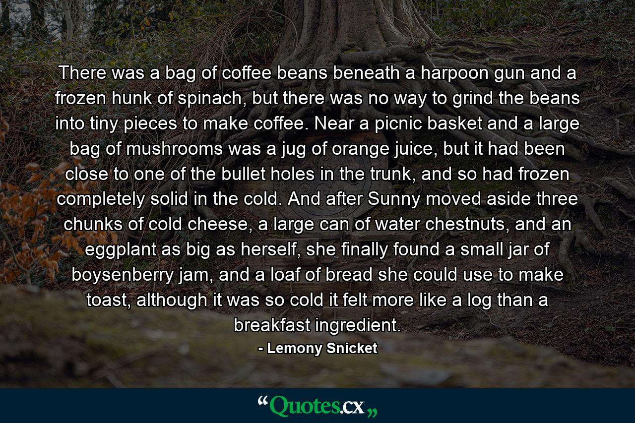 There was a bag of coffee beans beneath a harpoon gun and a frozen hunk of spinach, but there was no way to grind the beans into tiny pieces to make coffee. Near a picnic basket and a large bag of mushrooms was a jug of orange juice, but it had been close to one of the bullet holes in the trunk, and so had frozen completely solid in the cold. And after Sunny moved aside three chunks of cold cheese, a large can of water chestnuts, and an eggplant as big as herself, she finally found a small jar of boysenberry jam, and a loaf of bread she could use to make toast, although it was so cold it felt more like a log than a breakfast ingredient. - Quote by Lemony Snicket