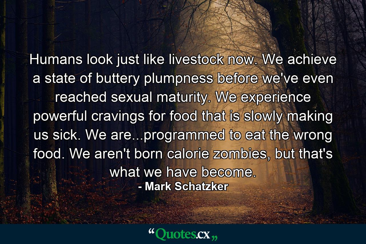 Humans look just like livestock now. We achieve a state of buttery plumpness before we've even reached sexual maturity. We experience powerful cravings for food that is slowly making us sick. We are...programmed to eat the wrong food. We aren't born calorie zombies, but that's what we have become. - Quote by Mark Schatzker