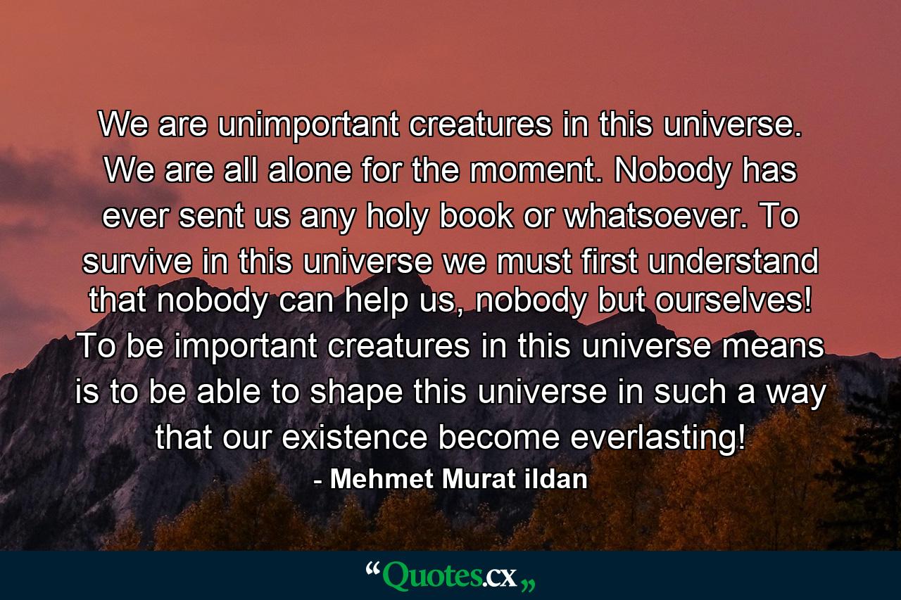 We are unimportant creatures in this universe. We are all alone for the moment. Nobody has ever sent us any holy book or whatsoever. To survive in this universe we must first understand that nobody can help us, nobody but ourselves! To be important creatures in this universe means is to be able to shape this universe in such a way that our existence become everlasting! - Quote by Mehmet Murat ildan