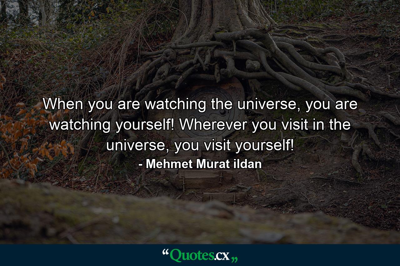 When you are watching the universe, you are watching yourself! Wherever you visit in the universe, you visit yourself! - Quote by Mehmet Murat ildan