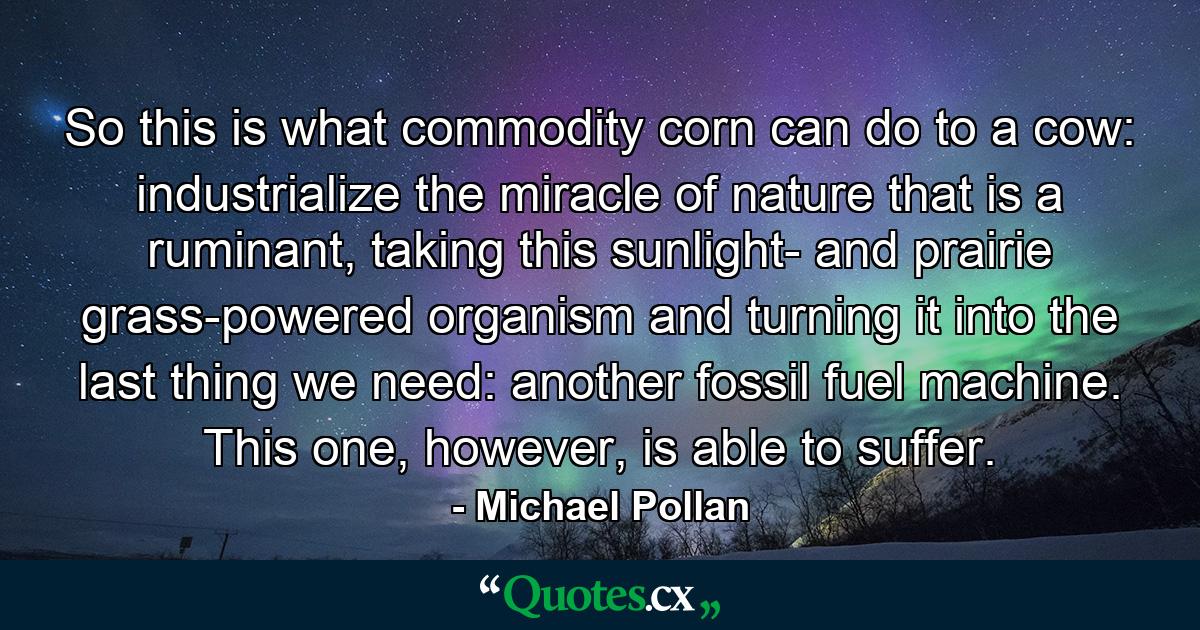 So this is what commodity corn can do to a cow: industrialize the miracle of nature that is a ruminant, taking this sunlight- and prairie grass-powered organism and turning it into the last thing we need: another fossil fuel machine. This one, however, is able to suffer. - Quote by Michael Pollan