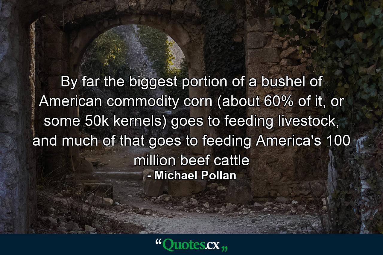 By far the biggest portion of a bushel of American commodity corn (about 60% of it, or some 50k kernels) goes to feeding livestock, and much of that goes to feeding America's 100 million beef cattle - Quote by Michael Pollan