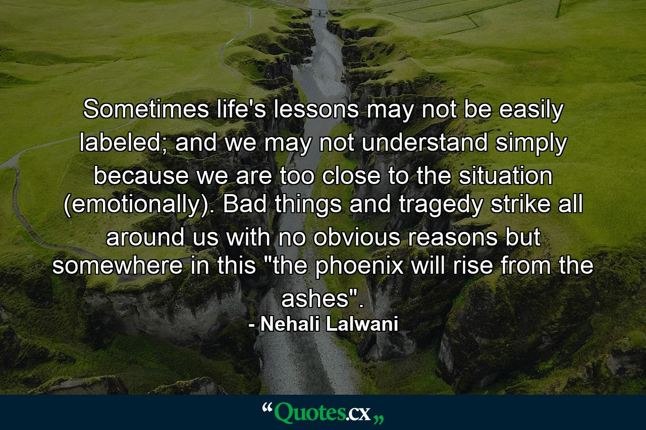 Sometimes life's lessons may not be easily labeled; and we may not understand simply because we are too close to the situation (emotionally). Bad things and tragedy strike all around us with no obvious reasons but somewhere in this 