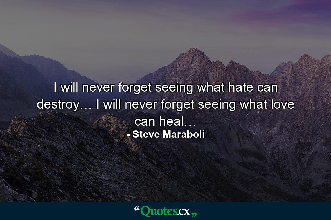 I will never forget seeing what hate can destroy… I will never forget seeing what love can heal… - Quote by Steve Maraboli