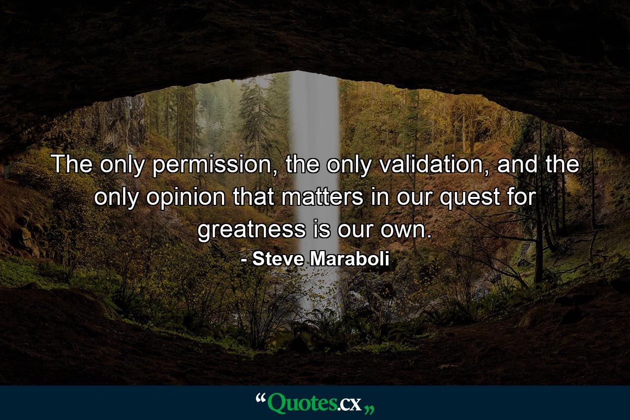 The only permission, the only validation, and the only opinion that matters in our quest for greatness is our own. - Quote by Steve Maraboli