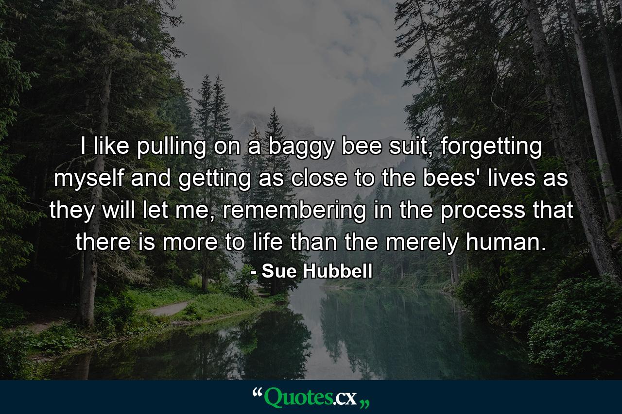 I like pulling on a baggy bee suit, forgetting myself and getting as close to the bees' lives as they will let me, remembering in the process that there is more to life than the merely human. - Quote by Sue Hubbell