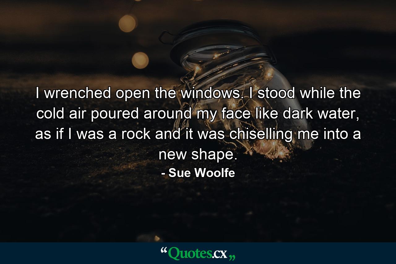 I wrenched open the windows. I stood while the cold air poured around my face like dark water, as if I was a rock and it was chiselling me into a new shape. - Quote by Sue Woolfe