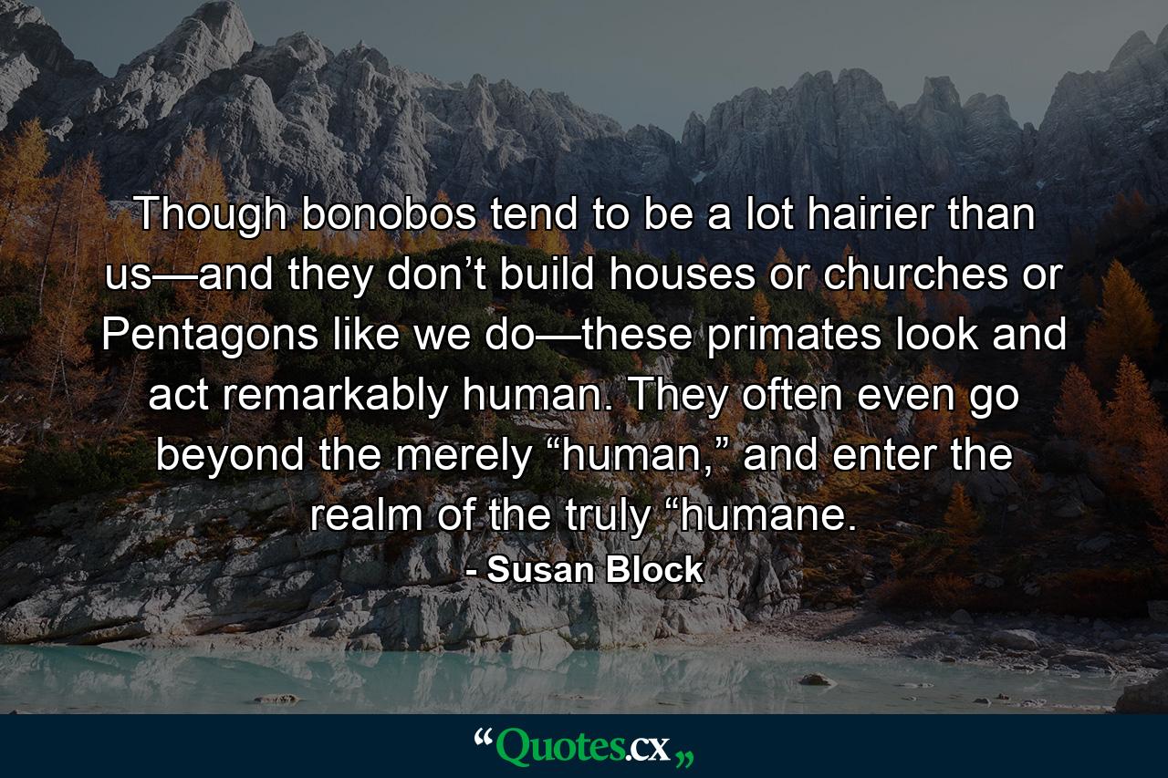 Though bonobos tend to be a lot hairier than us—and they don’t build houses or churches or Pentagons like we do—these primates look and act remarkably human. They often even go beyond the merely “human,” and enter the realm of the truly “humane. - Quote by Susan Block