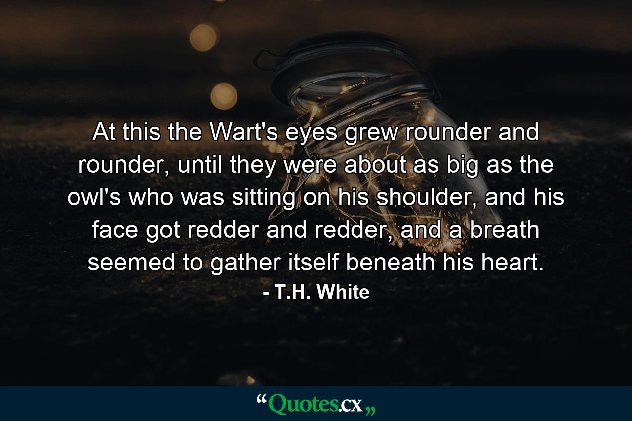 At this the Wart's eyes grew rounder and rounder, until they were about as big as the owl's who was sitting on his shoulder, and his face got redder and redder, and a breath seemed to gather itself beneath his heart. - Quote by T.H. White