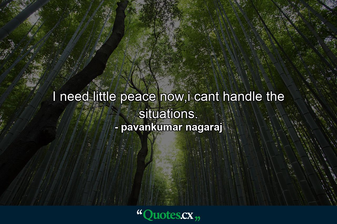 I need little peace now,i cant handle the situations. - Quote by pavankumar nagaraj