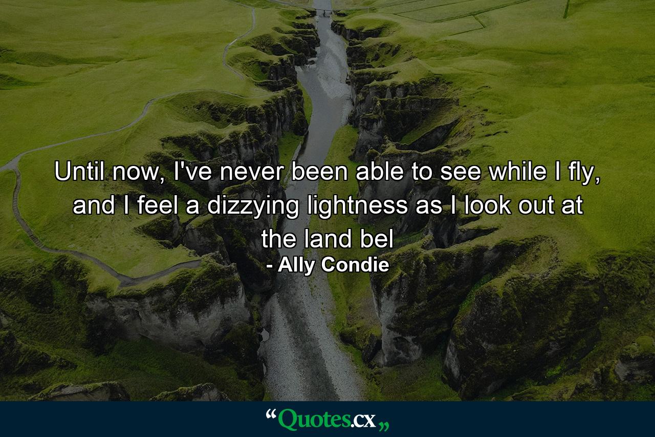 Until now, I've never been able to see while I fly, and I feel a dizzying lightness as I look out at the land bel - Quote by Ally Condie