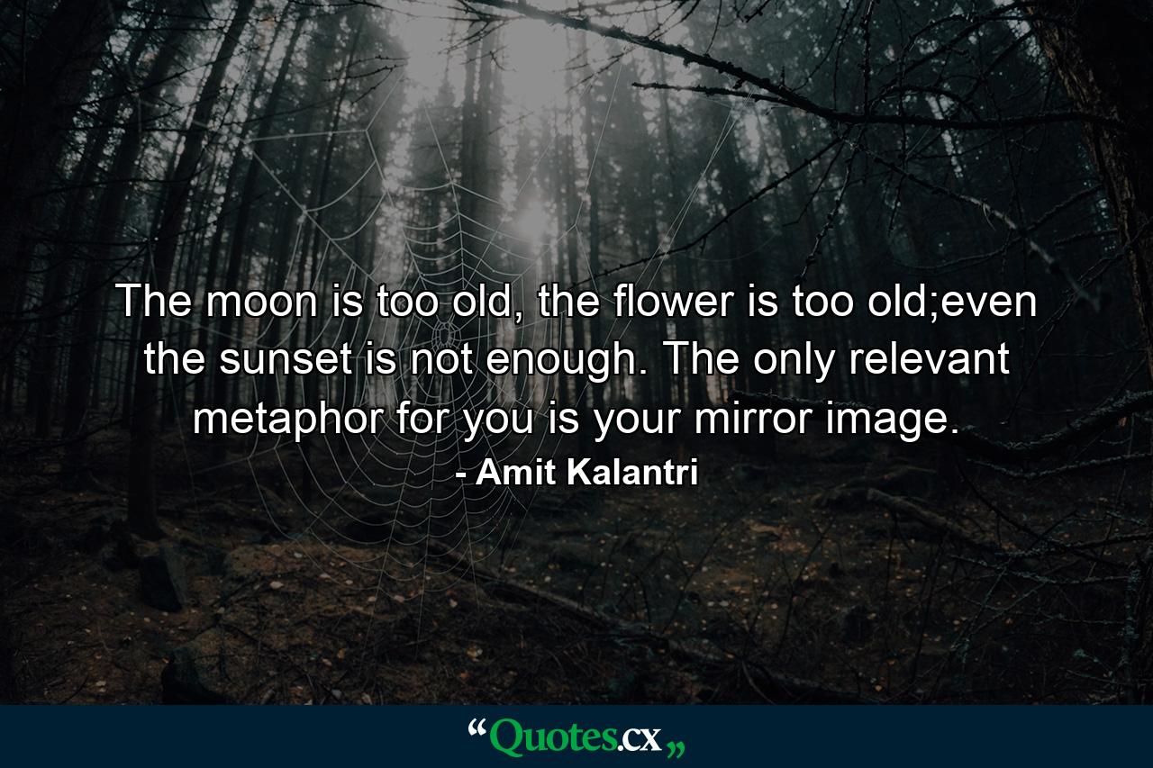 The moon is too old, the flower is too old;even the sunset is not enough. The only relevant metaphor for you is your mirror image. - Quote by Amit Kalantri