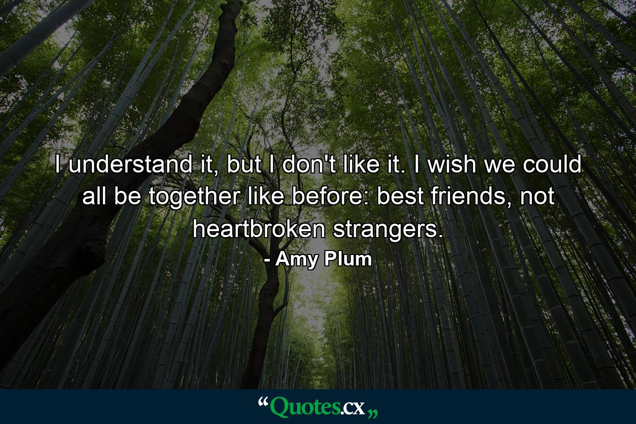 I understand it, but I don't like it. I wish we could all be together like before: best friends, not heartbroken strangers. - Quote by Amy Plum